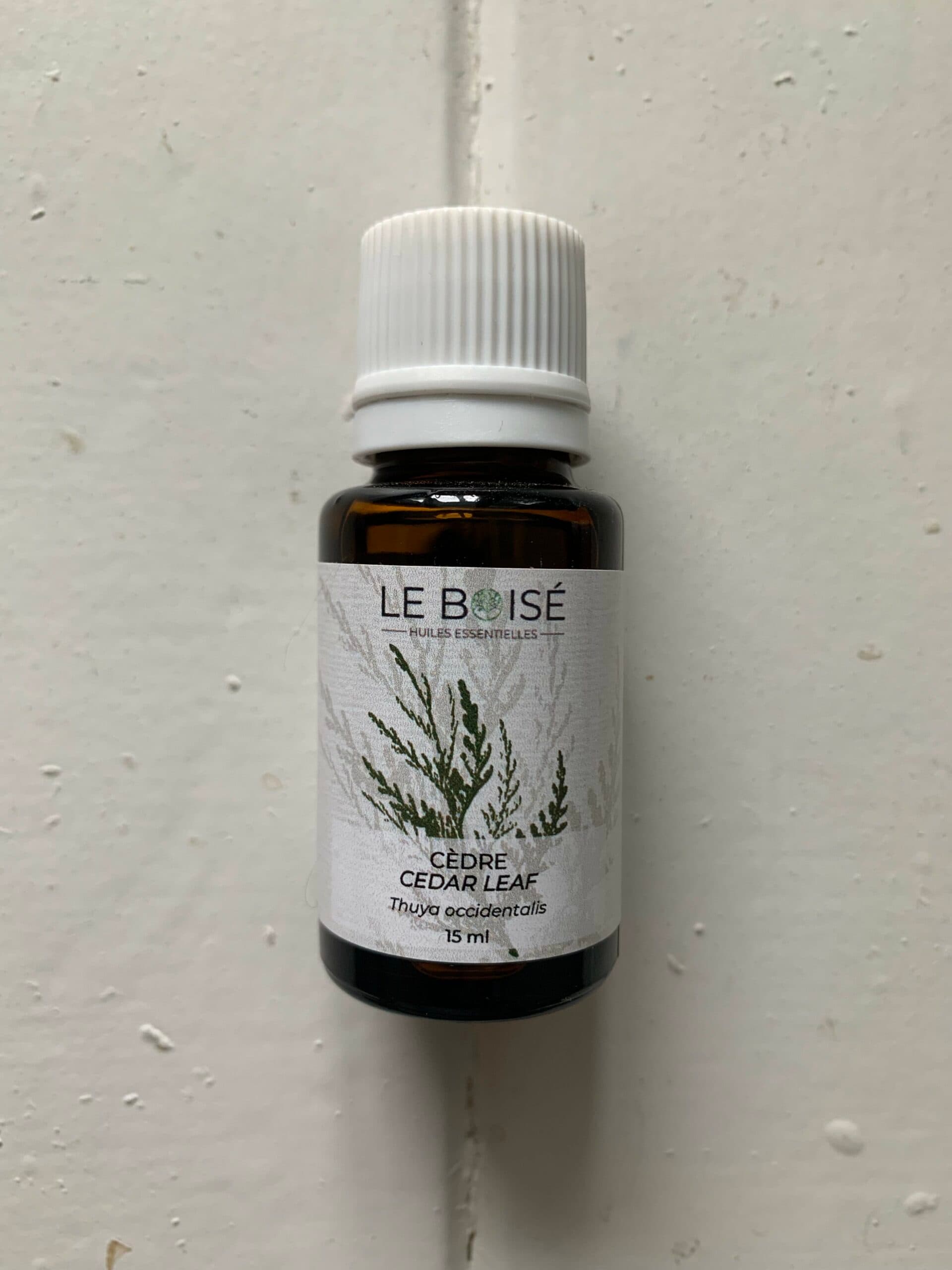 Cèdre